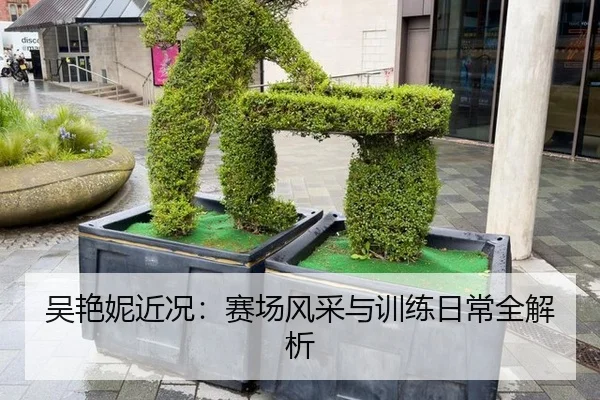 吴艳妮近况：赛场风采与训练日常全解析